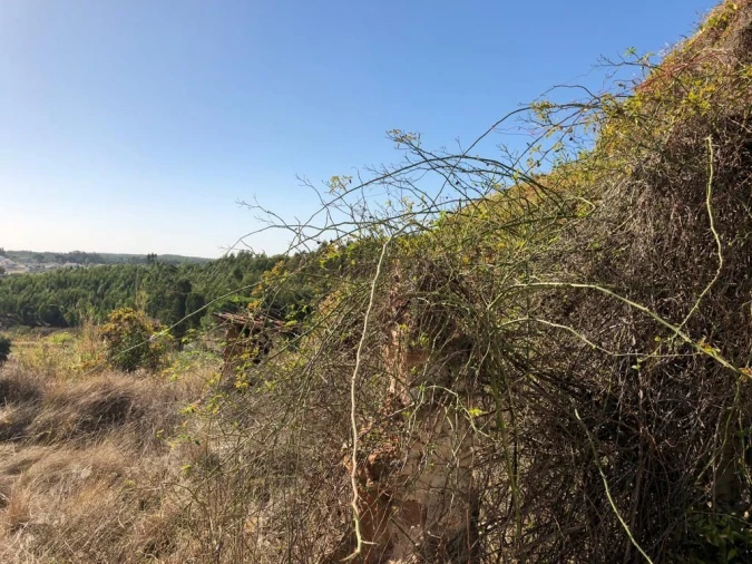 Moradia T5 para Venda em Alcanede Foto 10