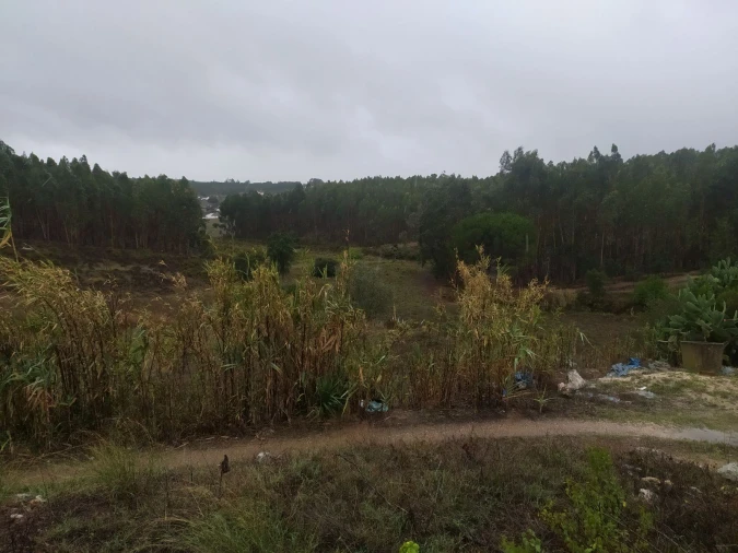 Moradia T5 para Venda em Alcanede Foto 21