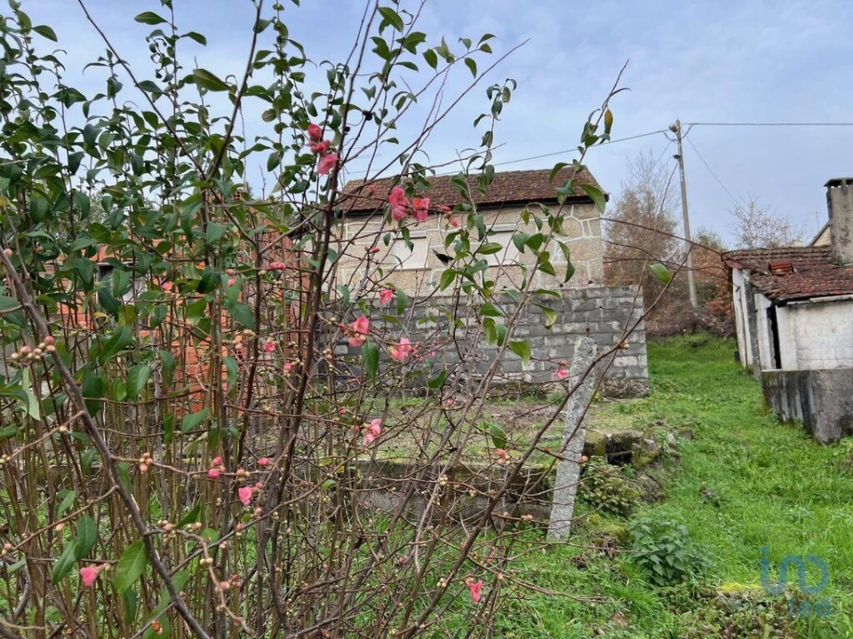 Moradia T2 para Venda em Figueiredo de Alva Foto 5