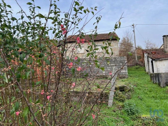 Moradia T2 para Venda em Figueiredo de Alva Foto 5