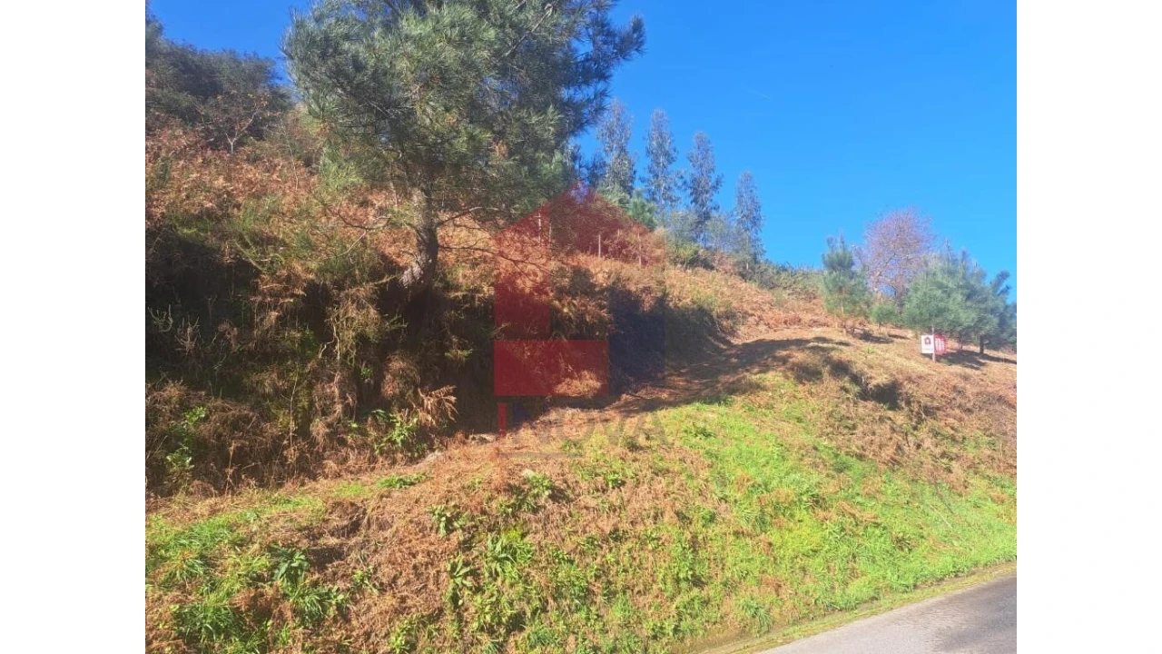 Terreno para Venda em Valbom (São Pedro), Passô e Valbom (São Martinho) Foto 7