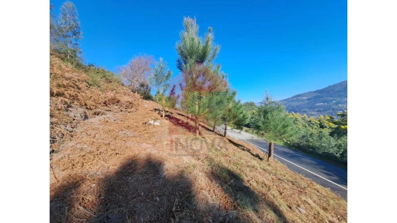 Terreno para Venda em Valbom (São Pedro), Passô e Valbom (São Martinho) Foto 6