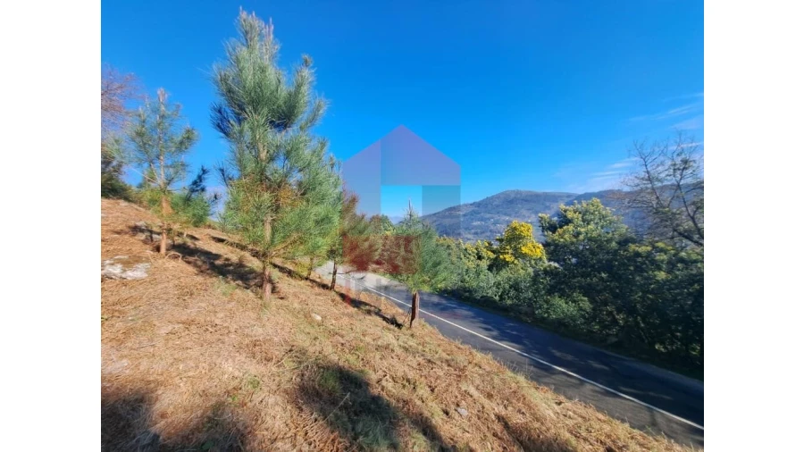 Terreno para Venda em Valbom (São Pedro), Passô e Valbom (São Martinho) Foto 4