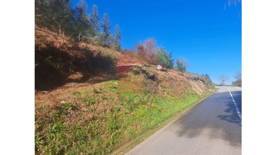Terreno para Venda em Valbom (São Pedro), Passô e Valbom (São Martinho) Foto 1