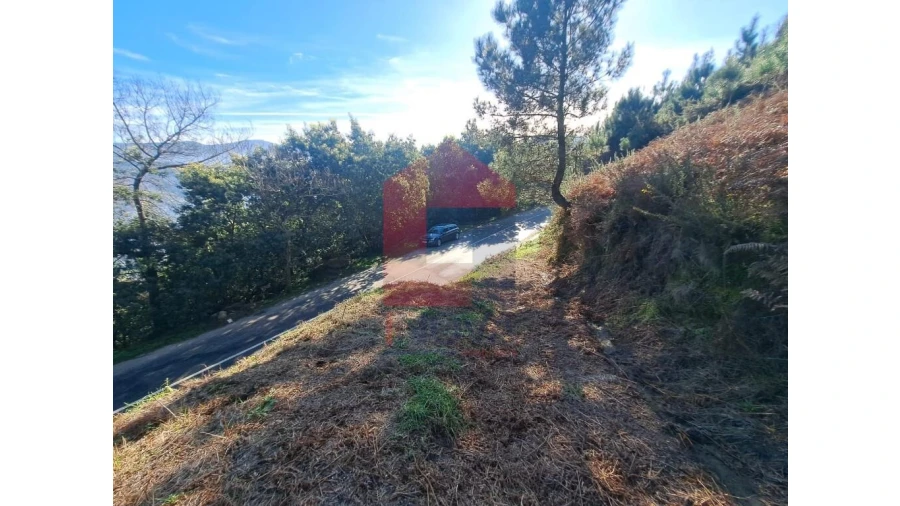 Terreno para Venda em Valbom (São Pedro), Passô e Valbom (São Martinho) Foto 5