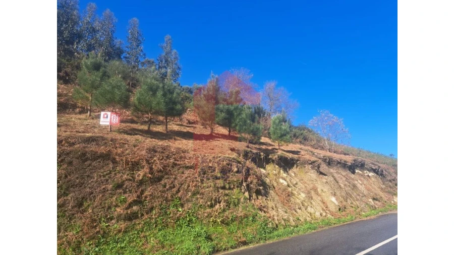 Terreno para Venda em Valbom (São Pedro), Passô e Valbom (São Martinho) Foto 8