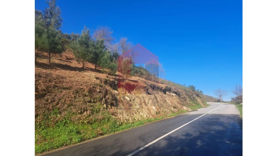 Terreno para Venda em Valbom (São Pedro), Passô e Valbom (São Martinho) Foto 3