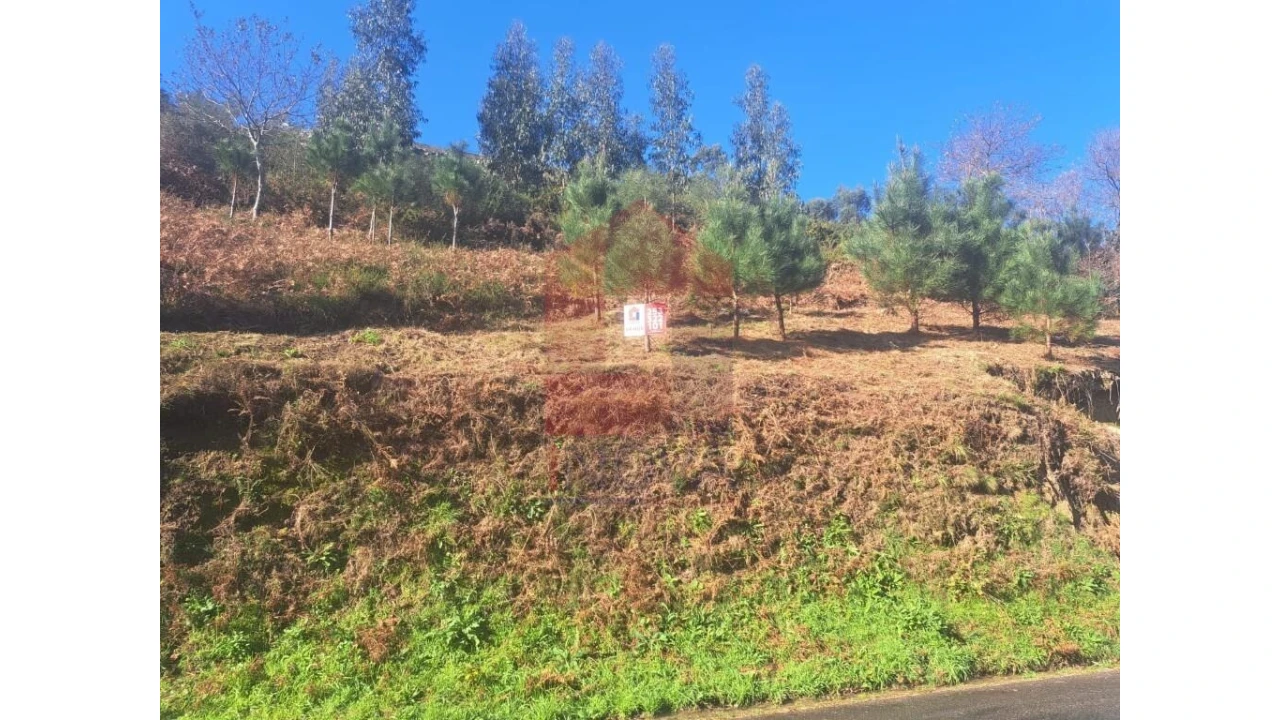 Terreno para Venda em Valbom (São Pedro), Passô e Valbom (São Martinho) Foto 2