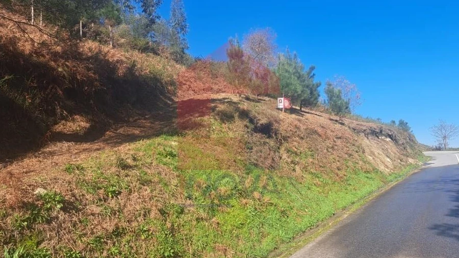 Terreno para Venda em Valbom (São Pedro), Passô e Valbom (São Martinho)