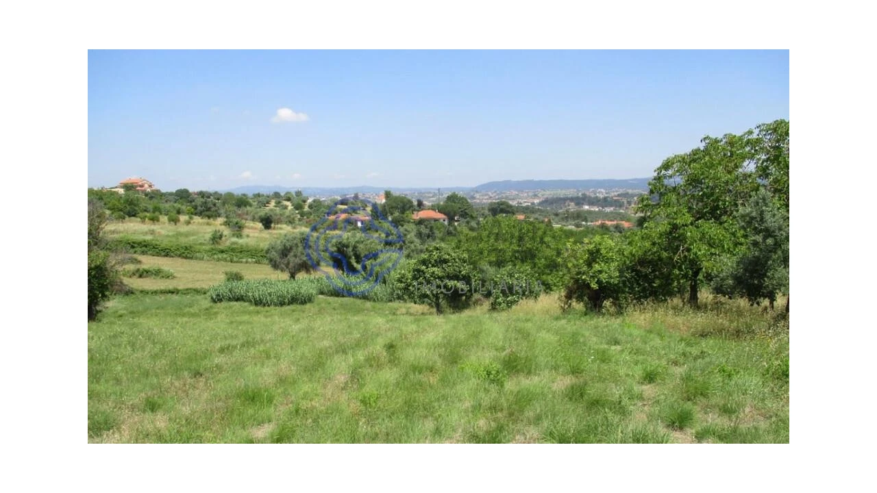 Terreno para Venda em Serra e Junceira Foto 6