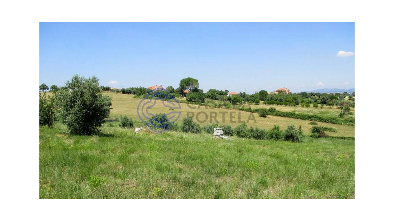 Terreno para Venda em Serra e Junceira Foto 5