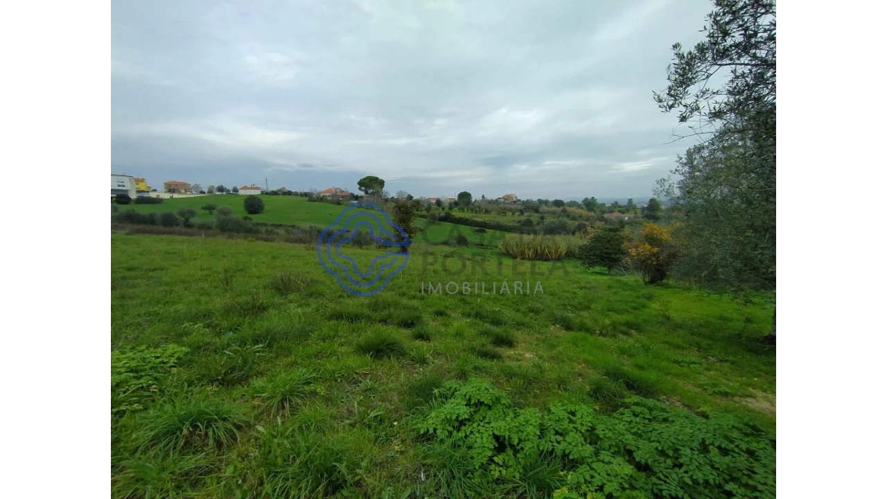 Terreno para Venda em Serra e Junceira Foto 8
