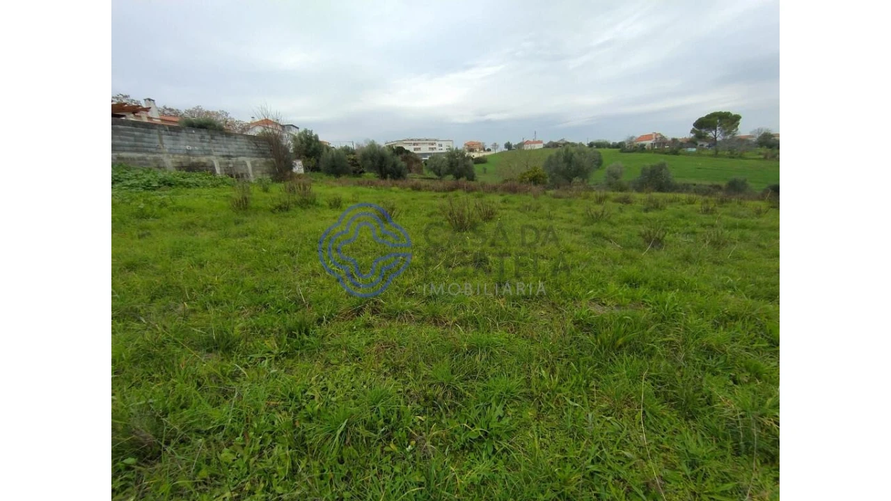 Terreno para Venda em Serra e Junceira Foto 13