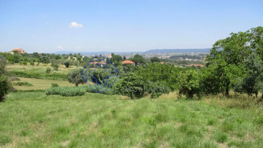 Terreno para Venda em Serra e Junceira Foto 6