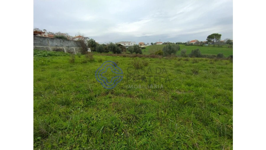 Terreno para Venda em Serra e Junceira Foto 13