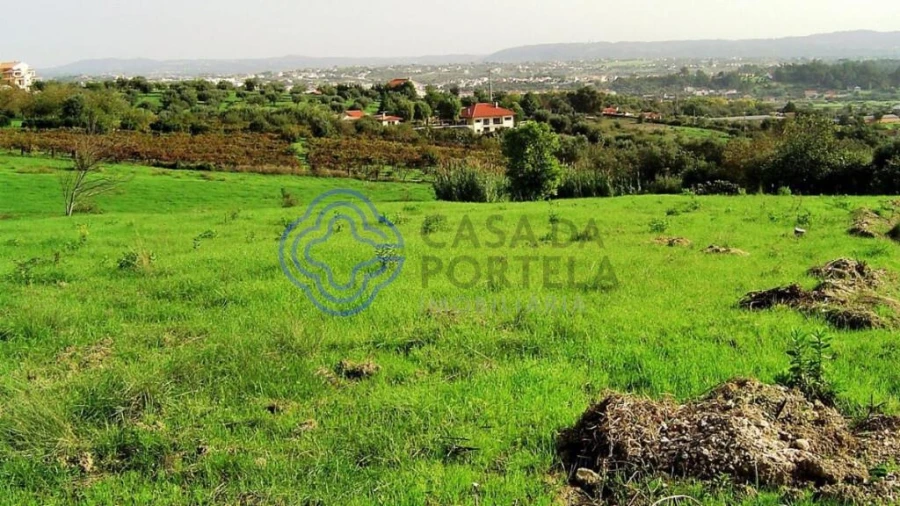 Terreno para Venda em Serra e Junceira