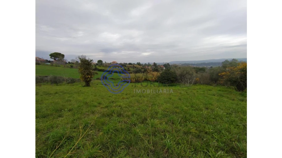 Terreno para Venda em Serra e Junceira Foto 11