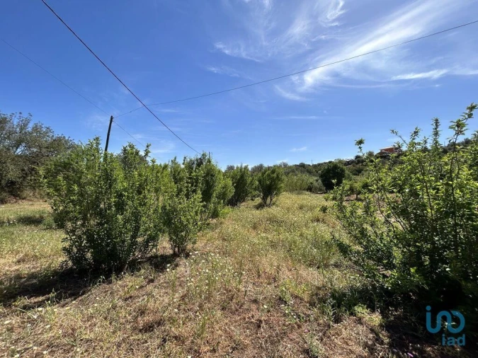 Moradia T4 para Venda em Luz de Tavira e Santo Estêvão Foto 8