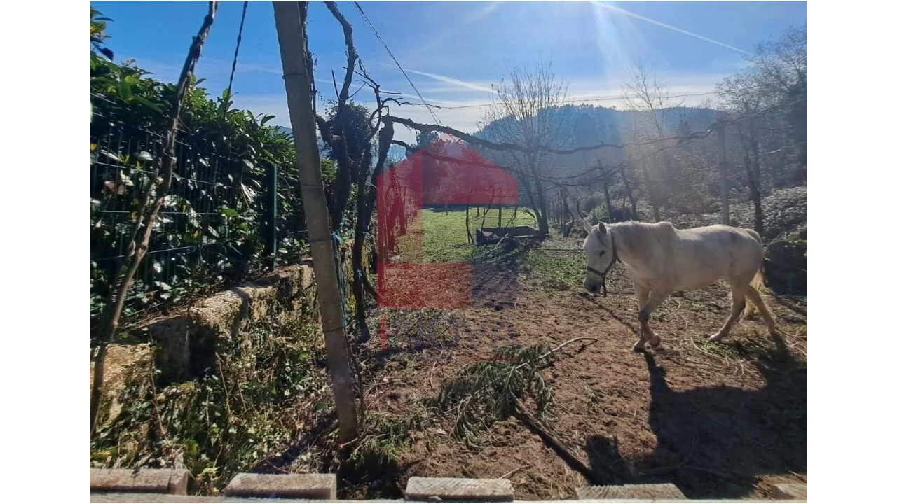 Terreno para Venda em Valbom (São Pedro), Passô e Valbom (São Martinho) Foto 3