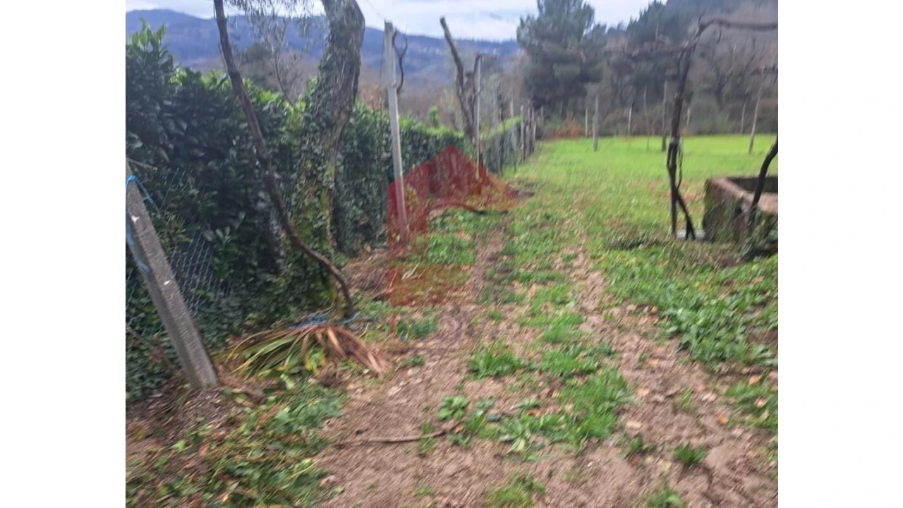 Terreno para Venda em Valbom (São Pedro), Passô e Valbom (São Martinho) Foto 9