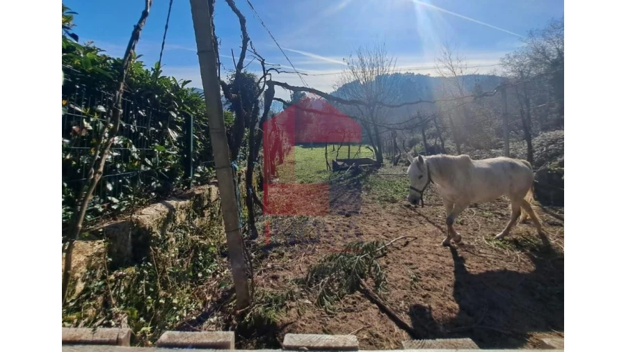 Terreno para Venda em Valbom (São Pedro), Passô e Valbom (São Martinho) Foto 3