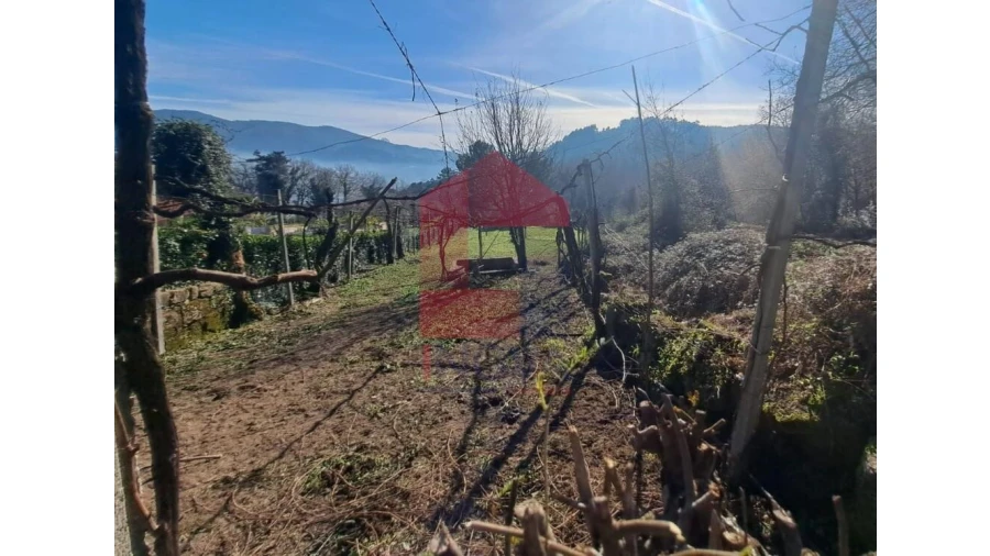 Terreno para Venda em Valbom (São Pedro), Passô e Valbom (São Martinho) Foto 4
