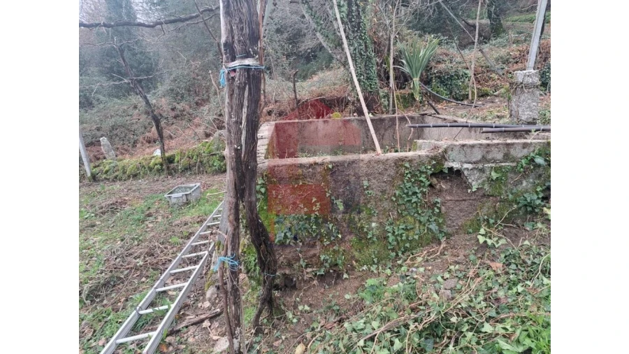 Terreno para Venda em Valbom (São Pedro), Passô e Valbom (São Martinho) Foto 8