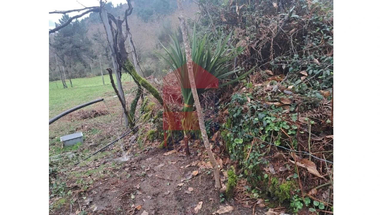 Terreno para Venda em Valbom (São Pedro), Passô e Valbom (São Martinho) Foto 10