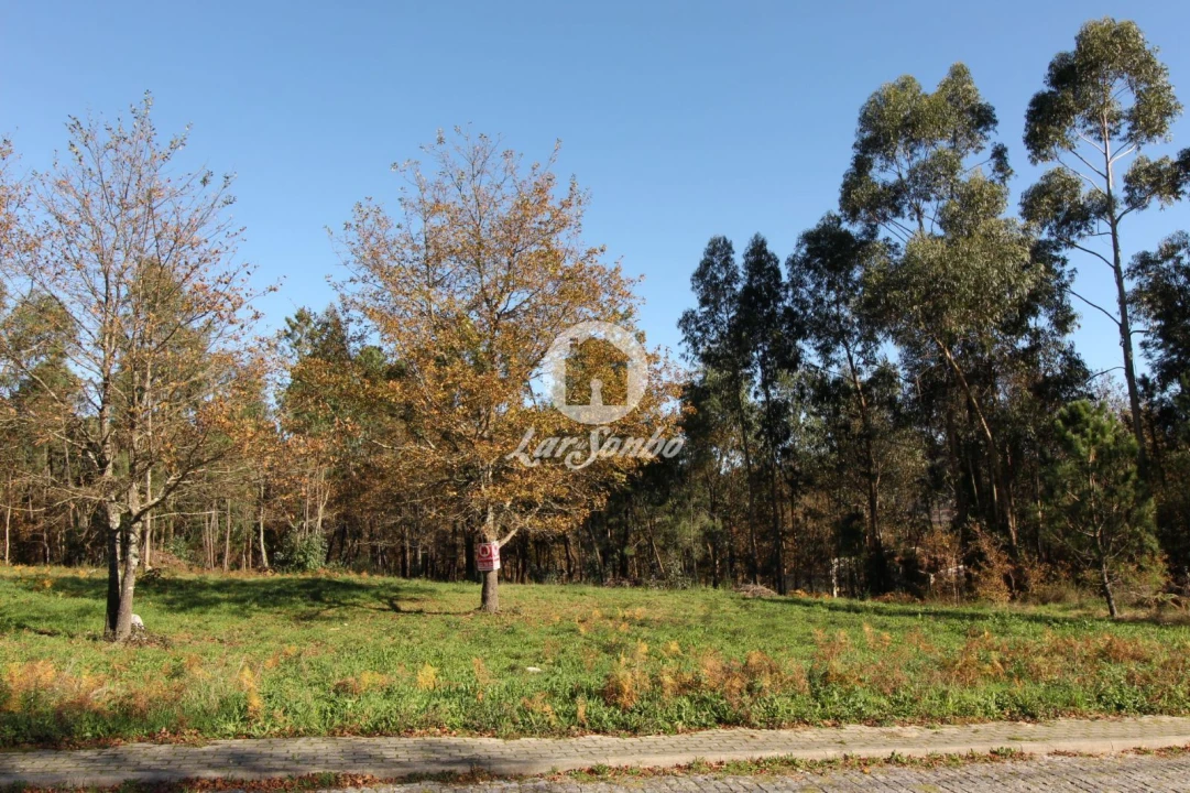 Terreno para Venda em Borba da Montanha Foto 3