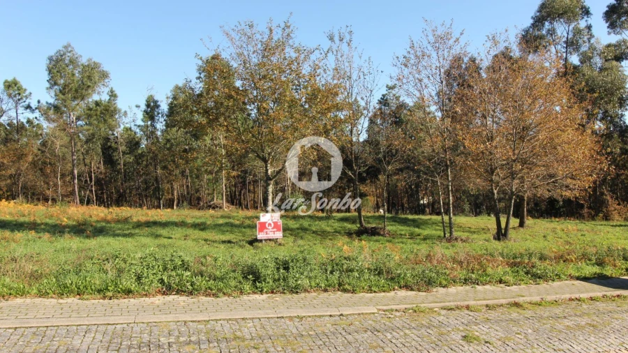 Terreno para Venda em Borba da Montanha