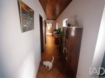 Moradia T3 para Venda em Abitureiras