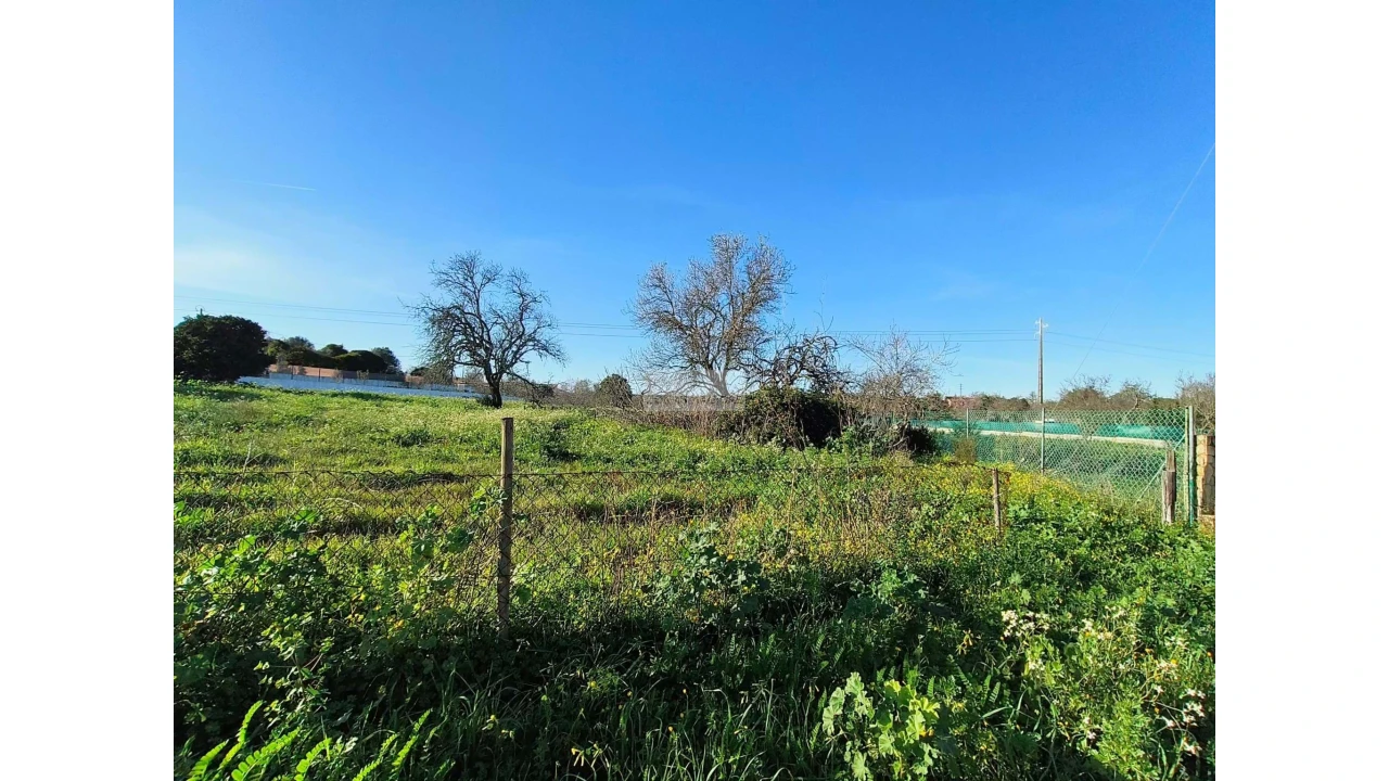 Terreno para Venda em Lagos (São Sebastião e Santa Maria) Foto 3