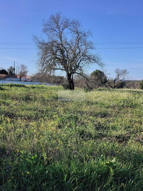 Terreno para Venda em Lagos (São Sebastião e Santa Maria)
