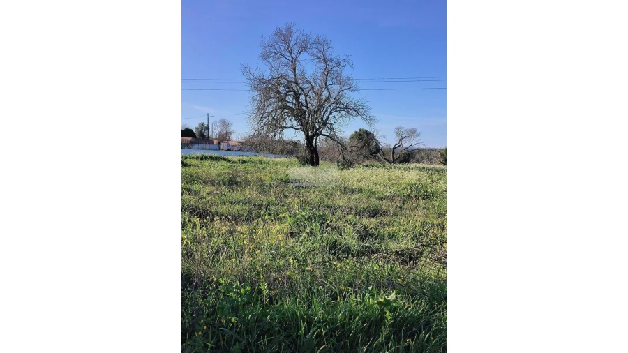 Terreno para Venda em Lagos (São Sebastião e Santa Maria) Foto 2