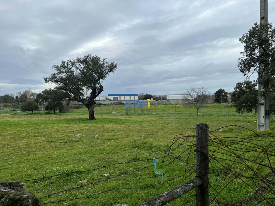 Terreno para Venda em Alcains Foto 2