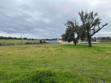 Terreno para Venda em Alcains
