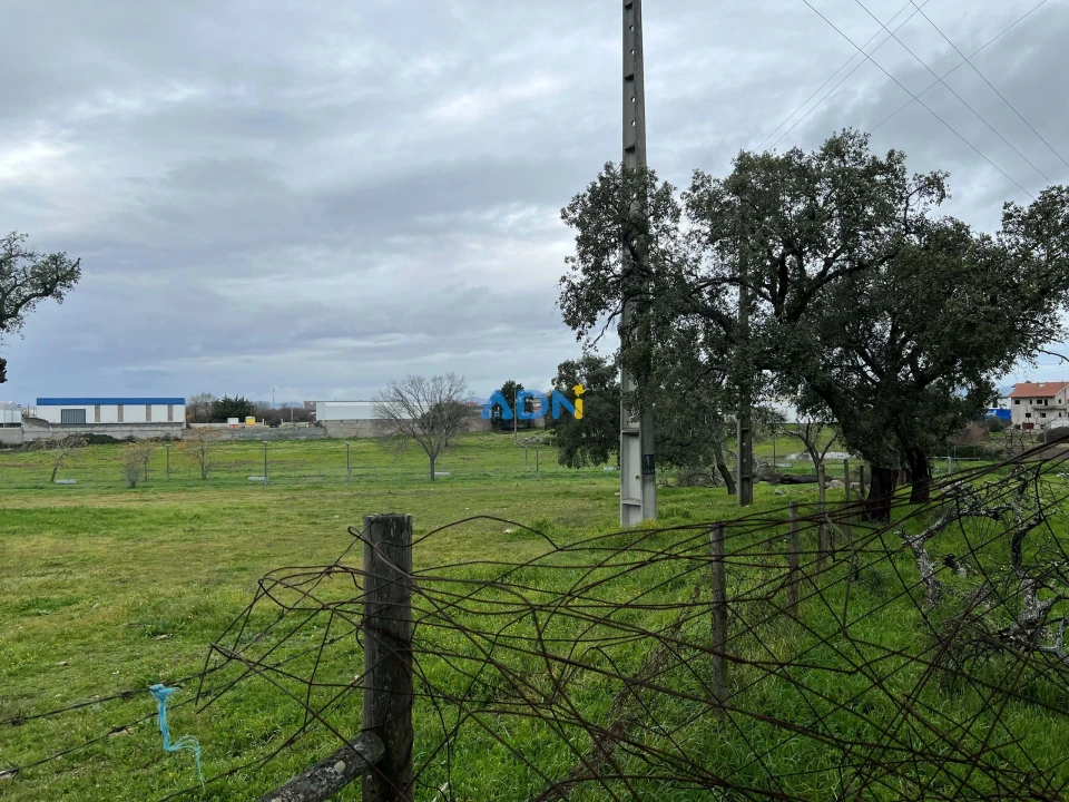 Terreno para Venda em Alcains Foto 3
