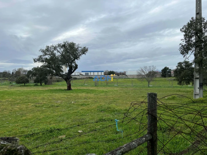 Terreno para Venda em Alcains Foto 2