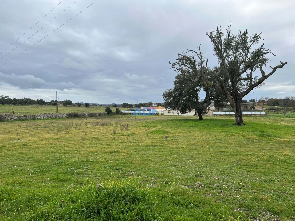 Terreno para Venda em Alcains Foto 1