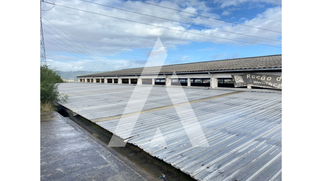 Quinta para Venda em Fermentões Foto 7