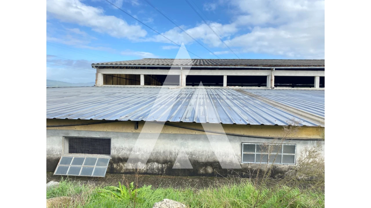 Quinta para Venda em Fermentões Foto 6