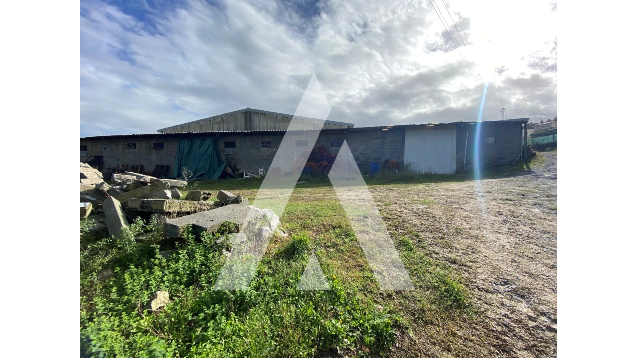 Quinta para Venda em Fermentões Foto 9