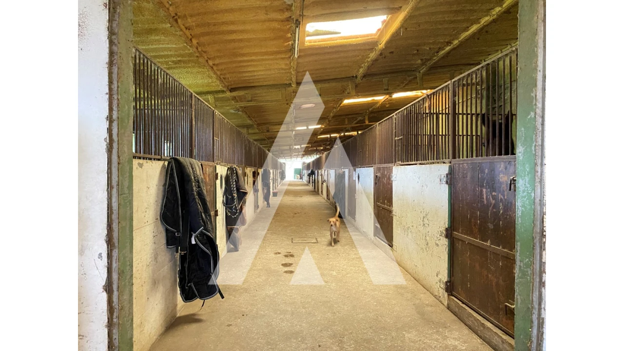 Quinta para Venda em Fermentões Foto 13