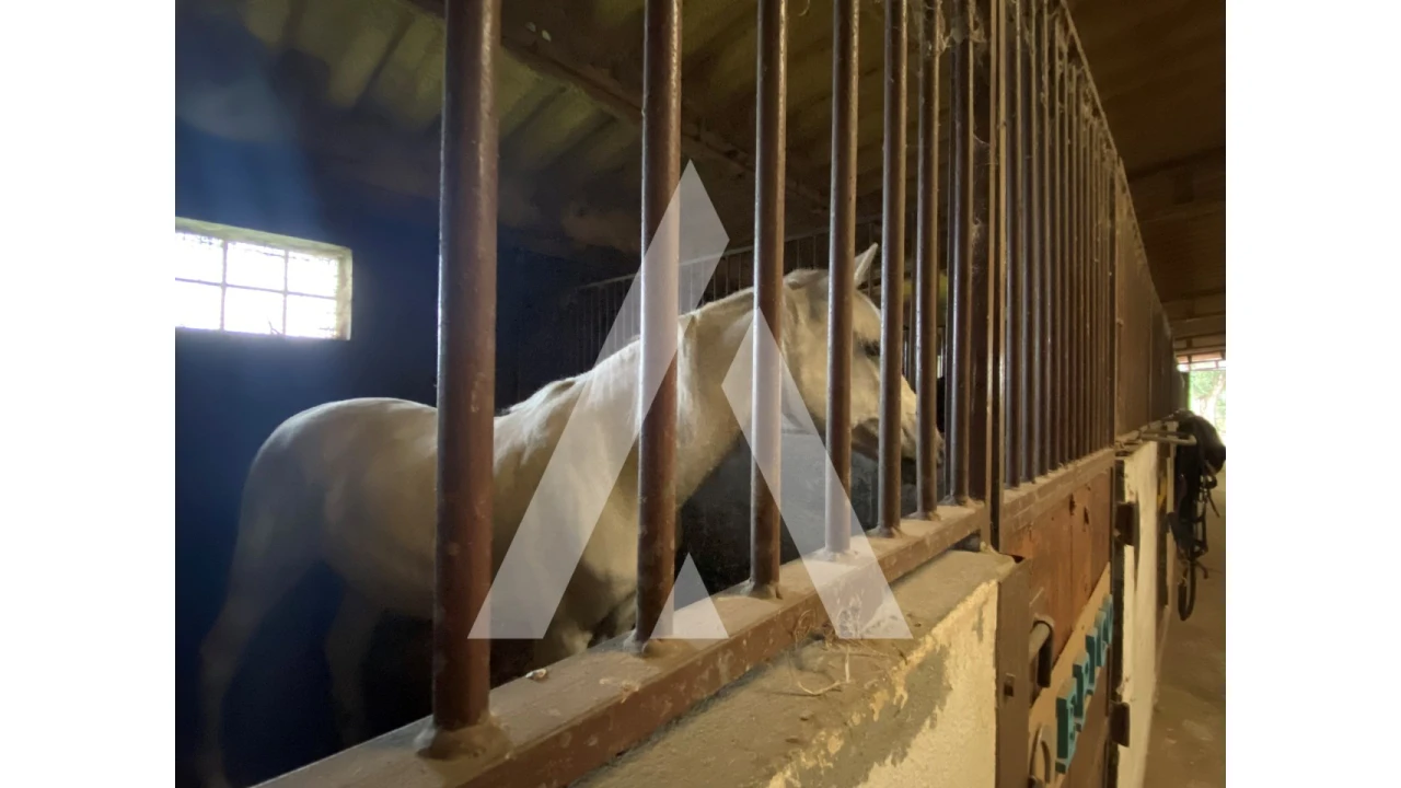 Quinta para Venda em Fermentões Foto 15