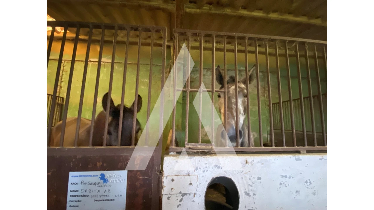 Quinta para Venda em Fermentões Foto 16