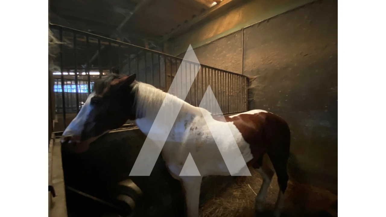 Quinta para Venda em Fermentões Foto 18