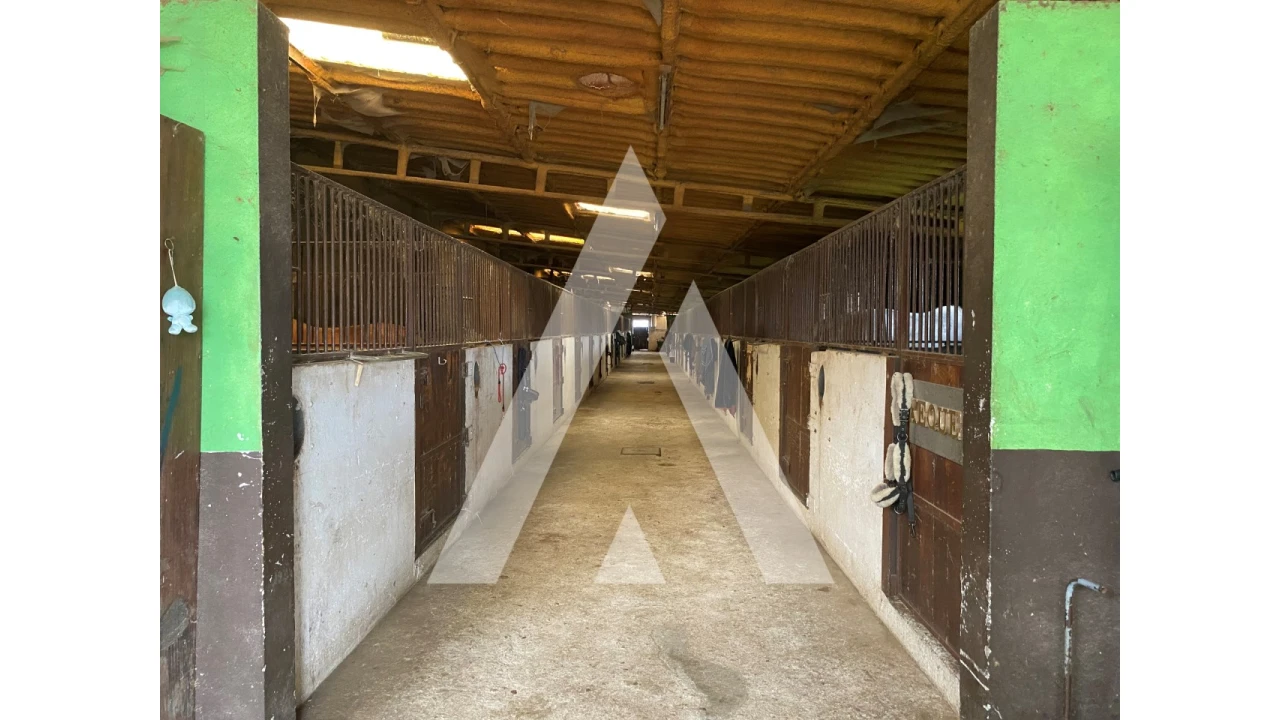 Quinta para Venda em Fermentões Foto 12