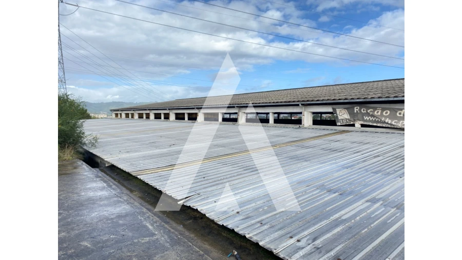 Quinta para Venda em Fermentões Foto 7