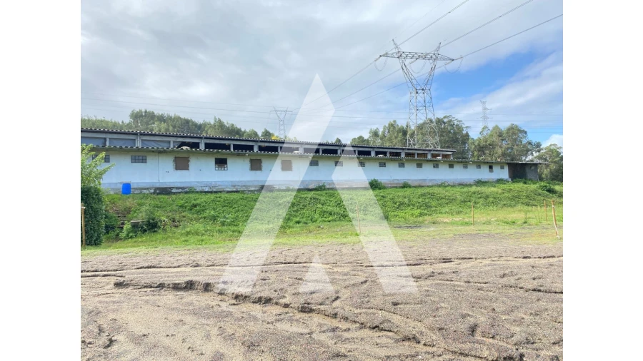 Quinta para Venda em Fermentões Foto 5