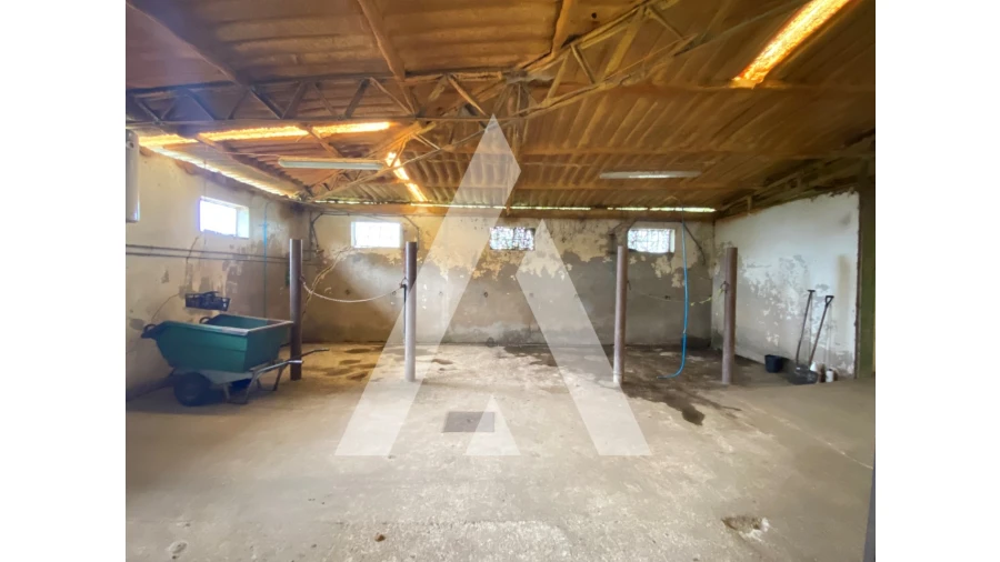 Quinta para Venda em Fermentões Foto 20